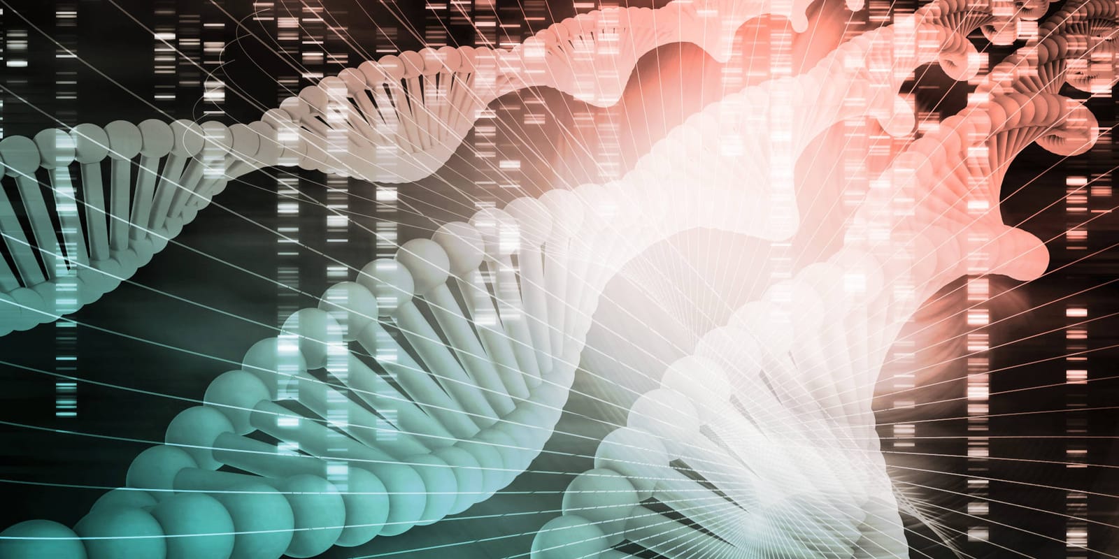 The Role of Artificial Intelligence in Genomics