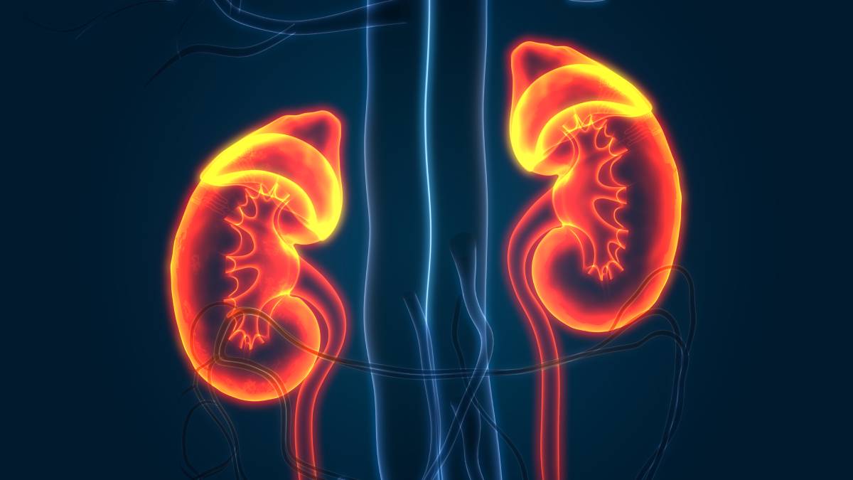 Renal Protection and Anesthesia